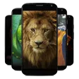 Background Animals 3D