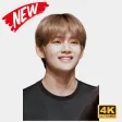 BTS Taehyung Wallpaper KPOP Fans HD New 4K