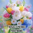 Flores y poemas para mamá Flores y poemas para mamá