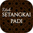 Setangkai Padi