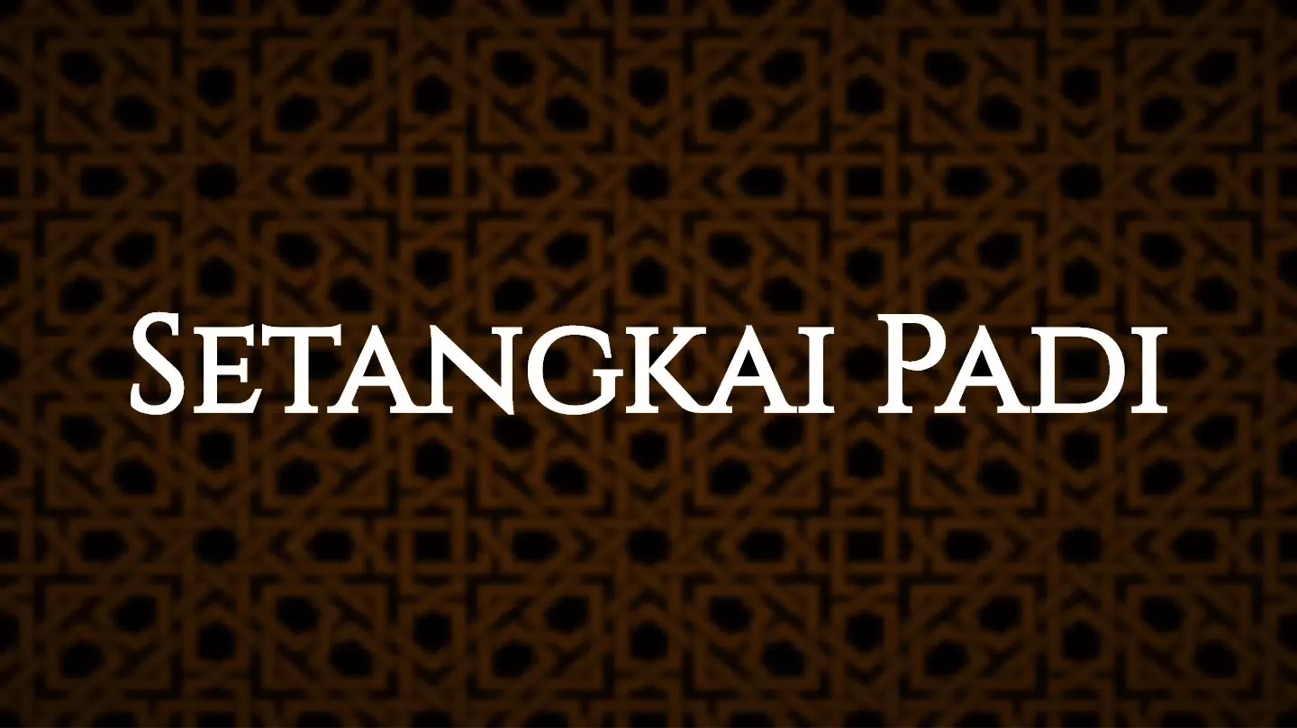 Setangkai Padi應用截圖
