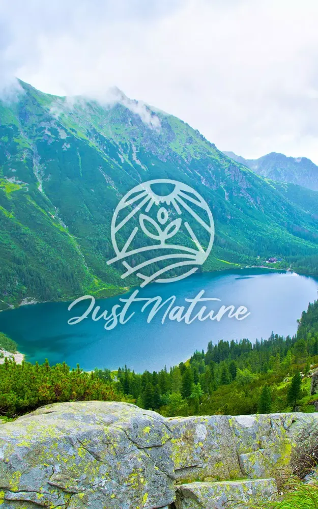 Just Nature TV應用截圖