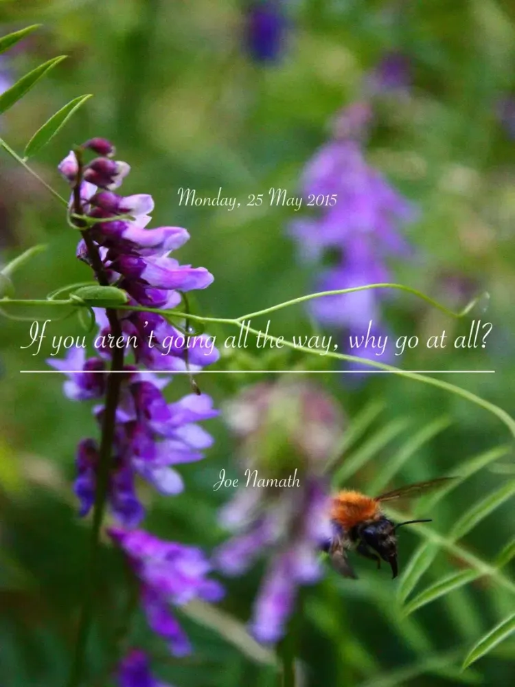 Captures d'écran de Quotr - your daily quota of uplifting and inspiring quotes iPad 