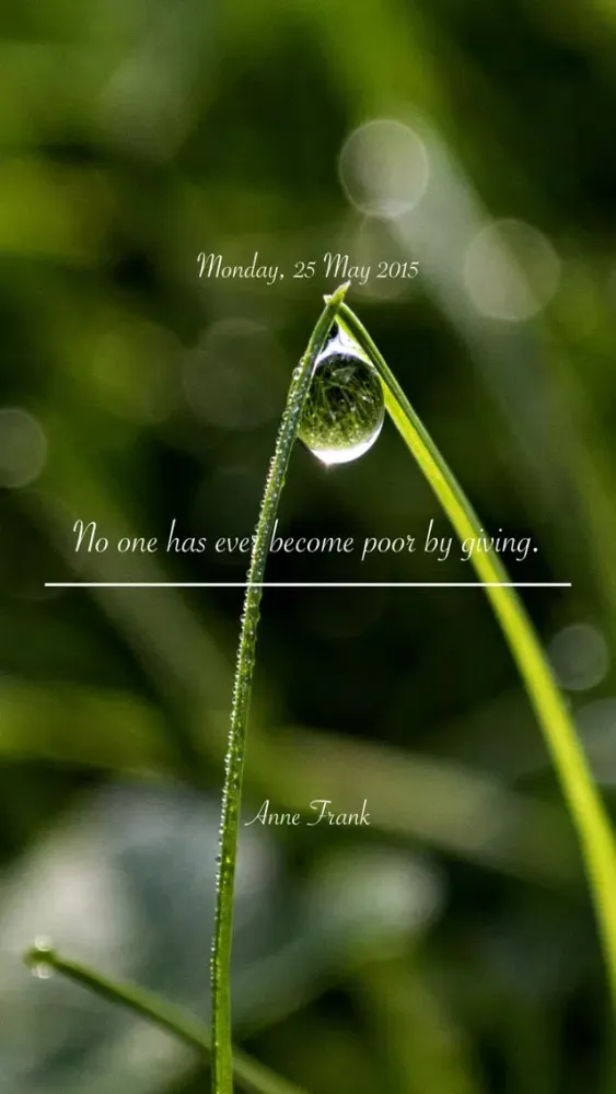 Captures d'écran de Quotr - your daily quota of uplifting and inspiring quotes