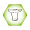 CowSignals® Training Company