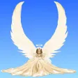 AngelForce - Meditations