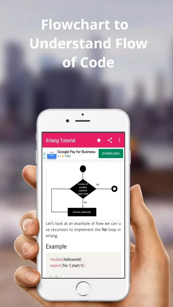 Screenshot di Learn Erlnag (Tutorial)