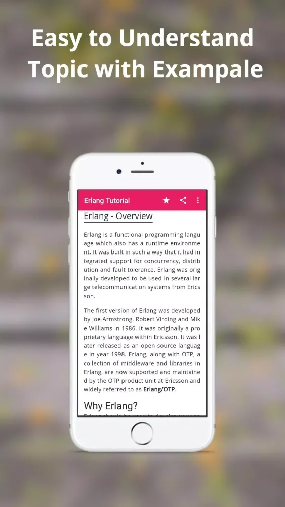 Screenshot di Learn Erlnag (Tutorial)