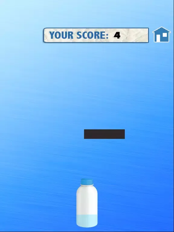 Water Bottle Flip - Free Game iPad 应用截图