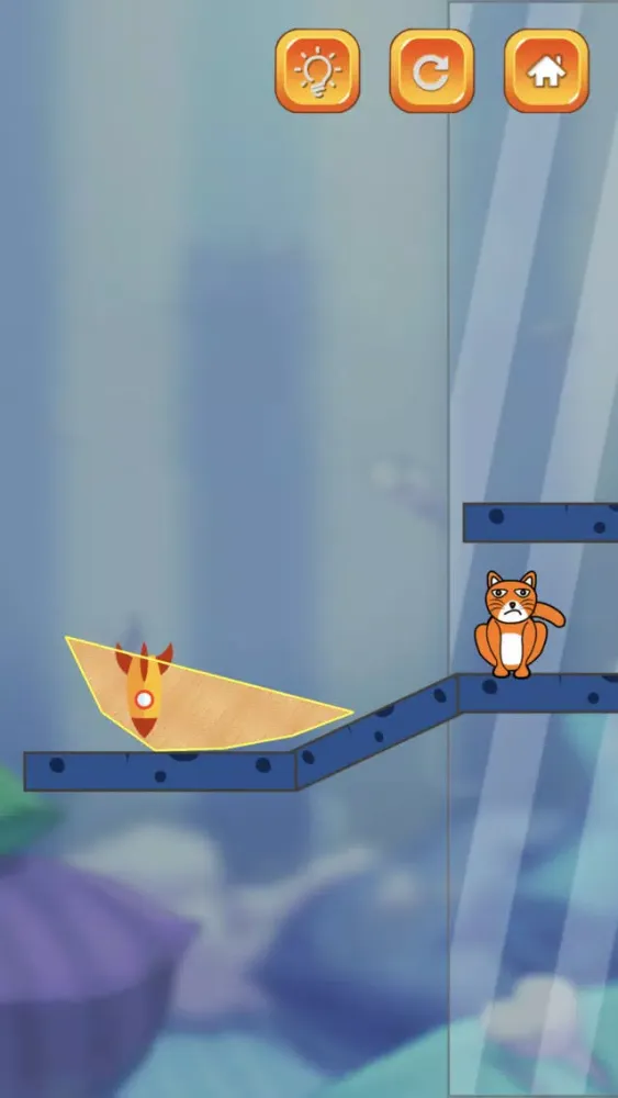 تصاویر Hello Angry Cat