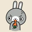 Grey Bunny Animated Stickers
