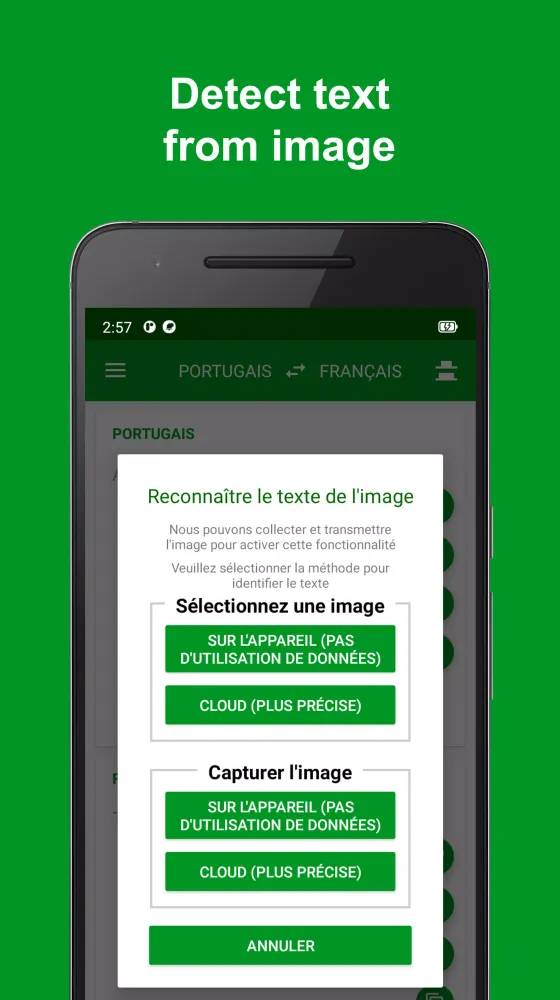 French - Portuguese Translator Screenshots