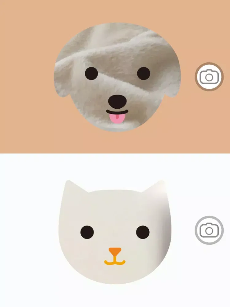 Cacha - animal camera iPad 应用截图