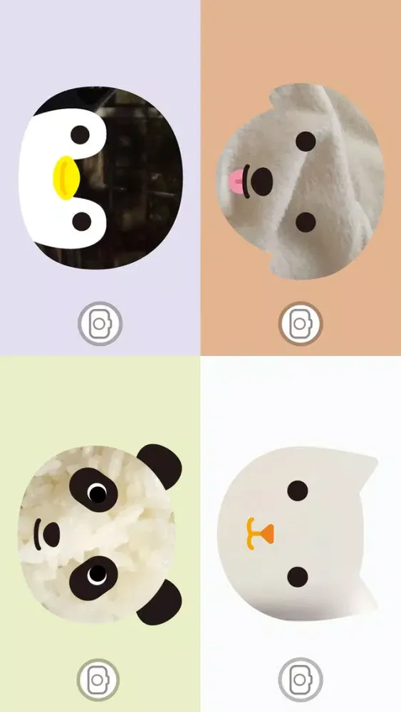 Cacha - animal camera应用截图