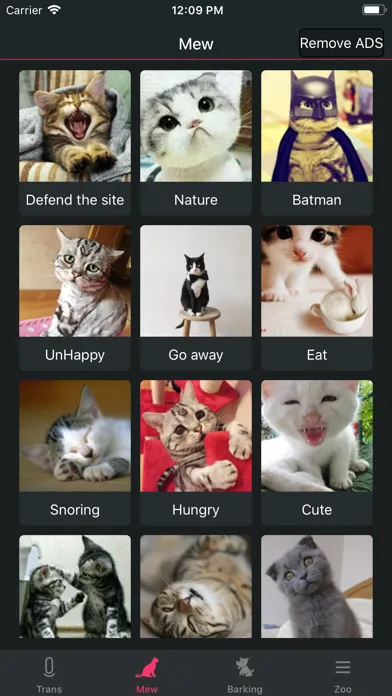 Pet translator - Cat&Dog Screenshots