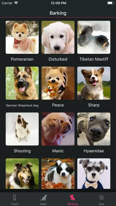 Pet translator - Cat&Dog Screenshots