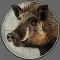 Wild Animals Hunting 3d Game