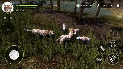 Wild Tiger Hunting Animal Life Ekran Görüntüleri