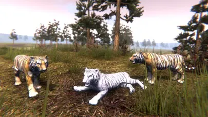 Wild Tiger Hunting Animal Life Ekran Görüntüleri