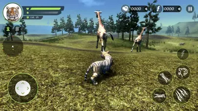 Wild Tiger Hunting Animal Life Ekran Görüntüleri