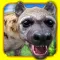 Animal SIM . Wild Animal Simulator Game Free