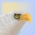 Eagle Escapade