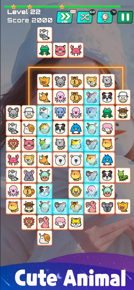 Animal Match Screenshots