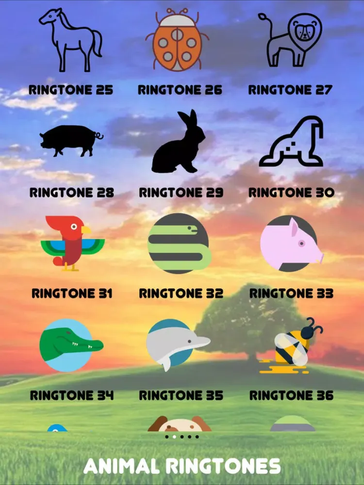 AnimalRT iPad  Screenshots