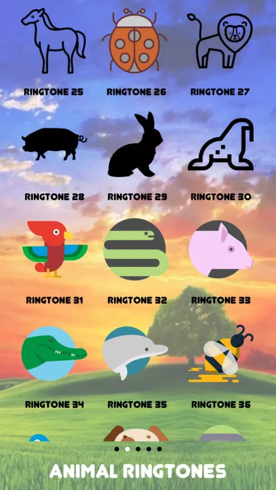 AnimalRT Screenshots