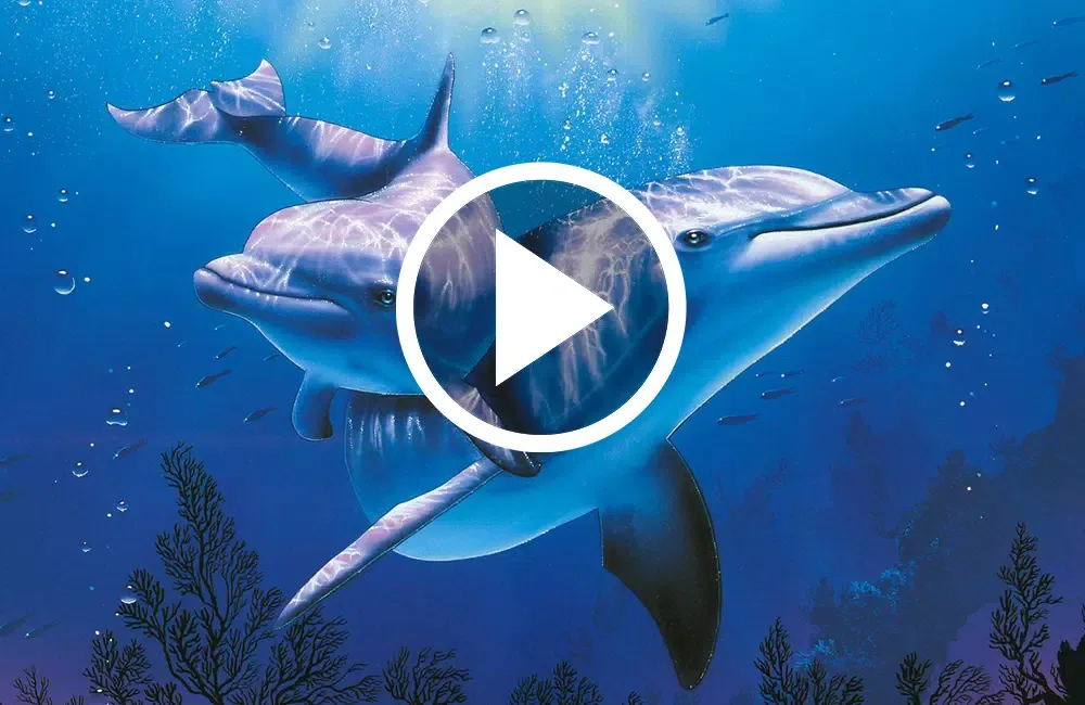 Animals : Ringtones & Sounds Screenshots