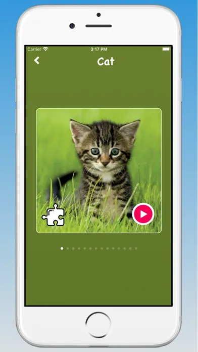 تصاویر Animal Sounds, Animal Language