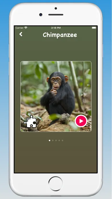 تصاویر Animal Sounds, Animal Language