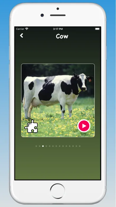 تصاویر Animal Sounds, Animal Language