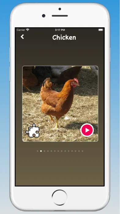 تصاویر Animal Sounds, Animal Language