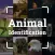 Animals ID - Animal Identifier