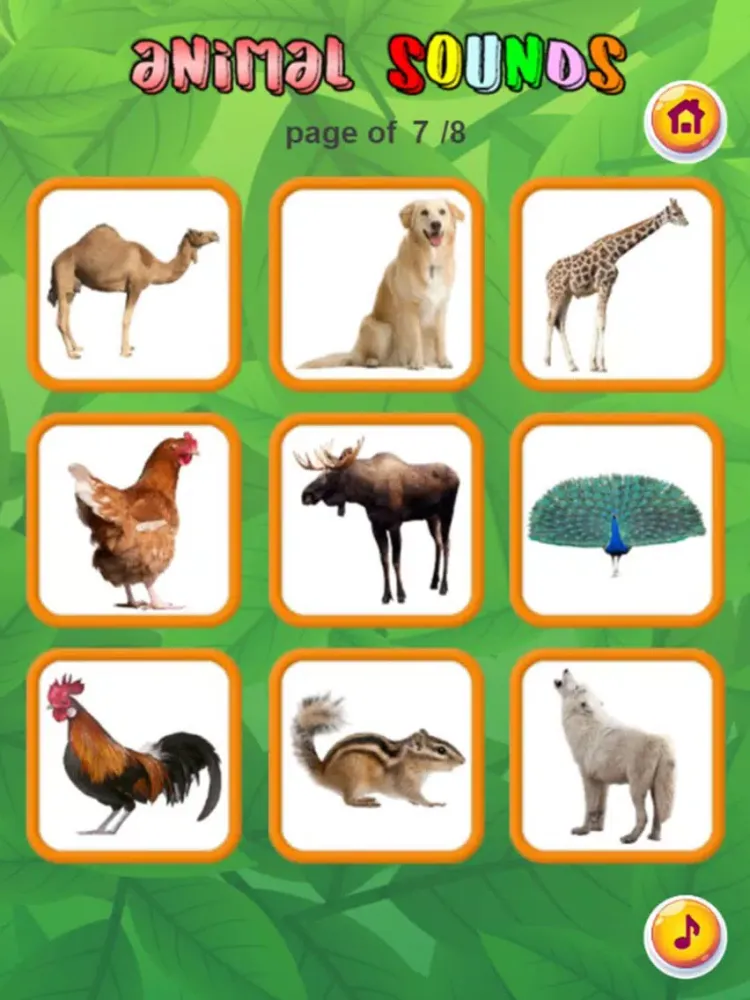 Ảnh chụp màn hình của Animal Sounds : Flashcards iPad 