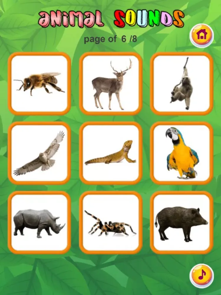 Ảnh chụp màn hình của Animal Sounds : Flashcards iPad 