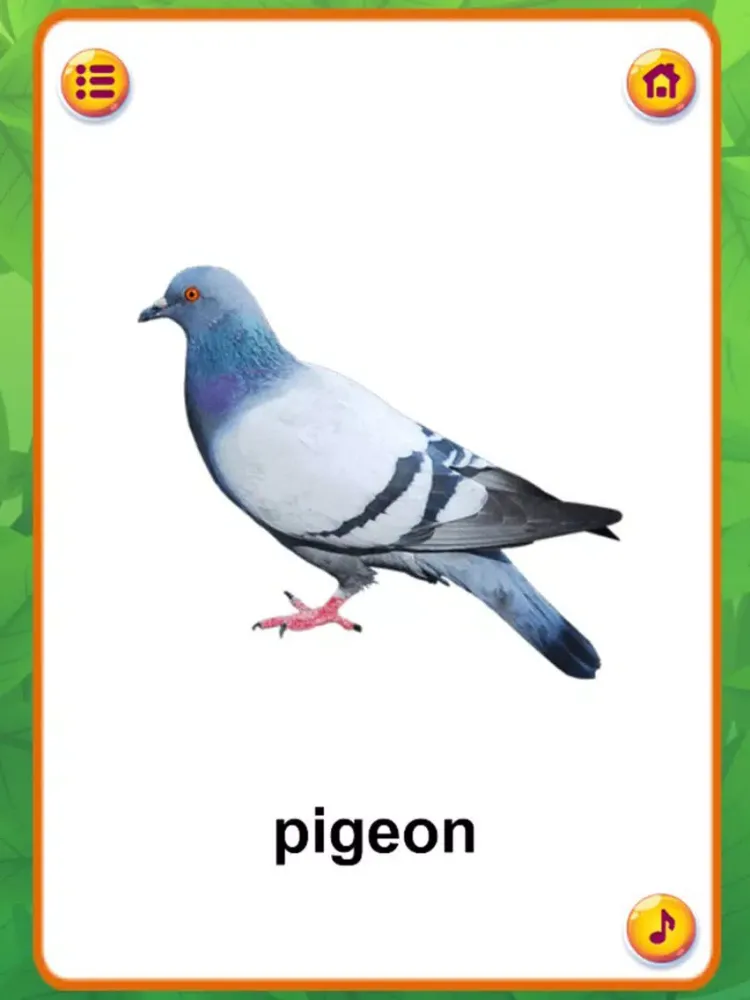 Ảnh chụp màn hình của Animal Sounds : Flashcards iPad 