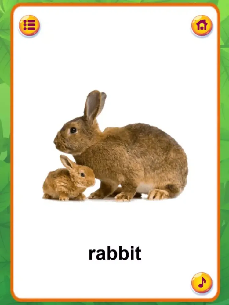Ảnh chụp màn hình của Animal Sounds : Flashcards iPad 