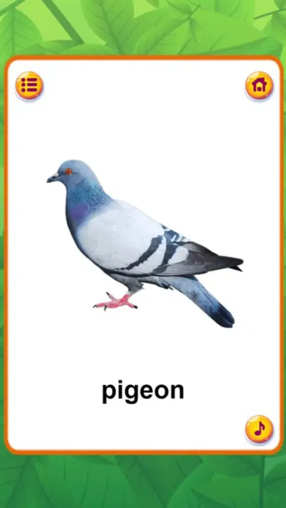 Ảnh chụp màn hình của Animal Sounds : Flashcards