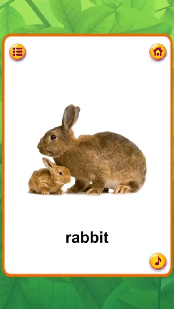 Ảnh chụp màn hình của Animal Sounds : Flashcards