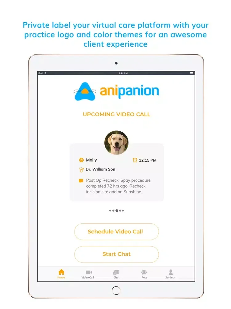 Anipanion iPad  سکرین شاٹس