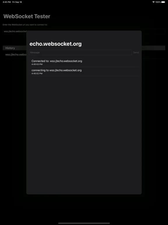 WS WebSocket Tester iPad  Screenshots