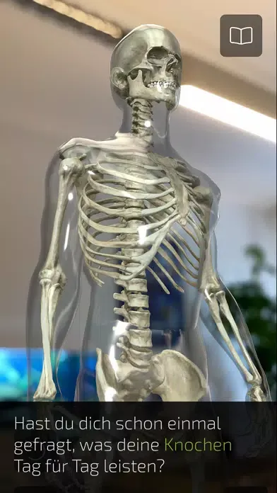 Captures d'écran de INSIGHT BONE