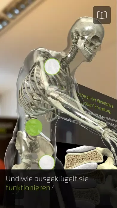 Captures d'écran de INSIGHT BONE