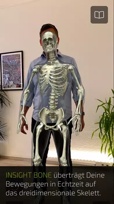 Captures d'écran de INSIGHT BONE