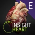 INSIGHT HEART Enterprise INSIGHT HEART Enterprise