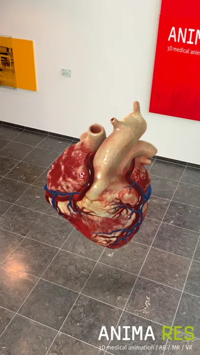 Скриншоты INSIGHT HEART Enterprise