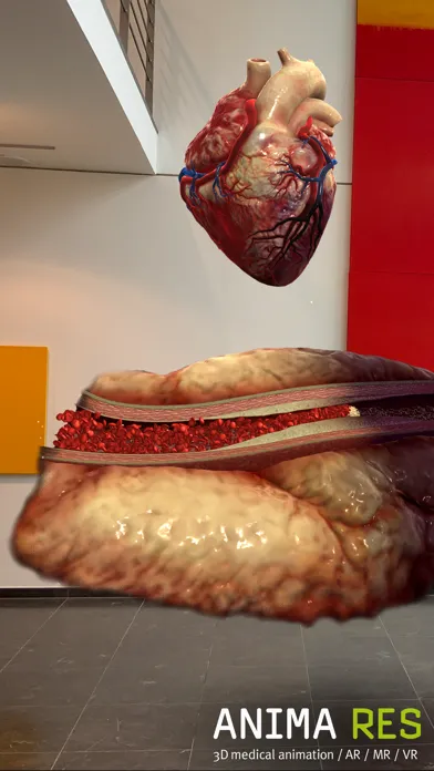 Скриншоты INSIGHT HEART Enterprise
