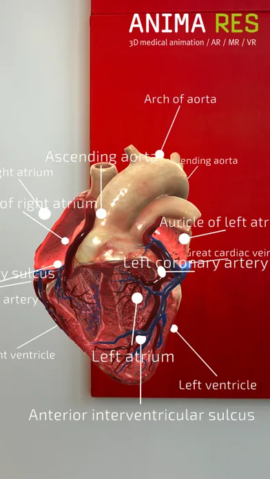 Скриншоты INSIGHT HEART Enterprise